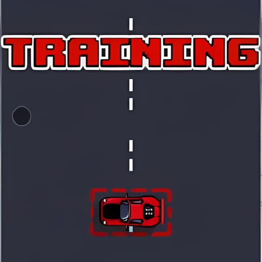 Racer Training