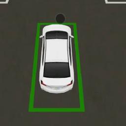 Practice Parking image